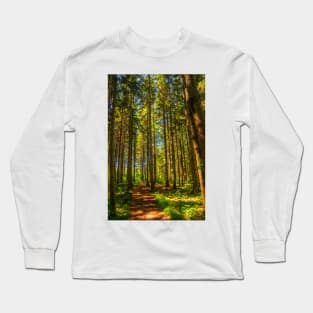 A Walk in the Woods Long Sleeve T-Shirt